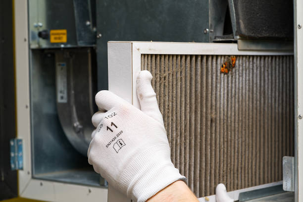 Best Affordable Duct Cleaning Services  in Missouri City, TX